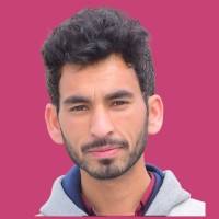 Amir Hussain