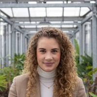 Goldi Heijne