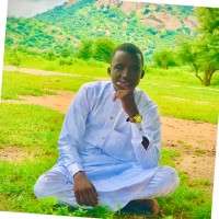 النور خليل احمد