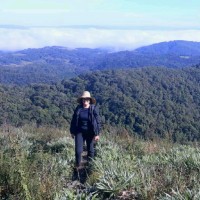 Tamires Diniz Bressan