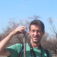 Vincent Fradet
