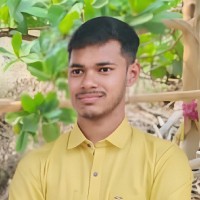 Bapi Maji