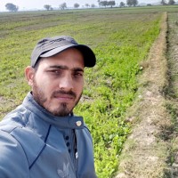 Tejveer Chaudhary