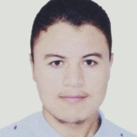 Wael Nebli