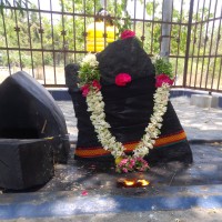 Sakthi Vel