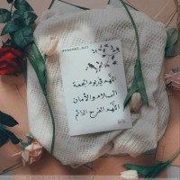 Nojoud Al-Namer