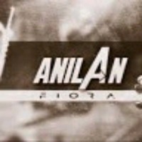 Anil Ani
