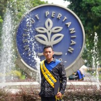 Haris Mawardi