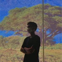 黄柏林