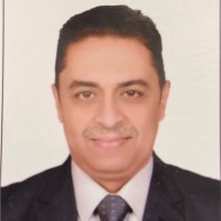 Assem Abo Naga - MBA