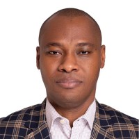 Paul Omugbe (FCA, FCCA, CPA, PMP, FMVA, SAFe® Agilist)