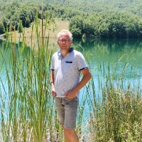Henk Zuring