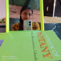 Nandi Ray