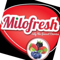 Finestberries SARL