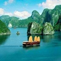 姚钱树