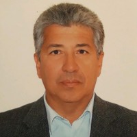 Juan Bibiloni