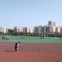 alen xu
