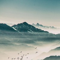 陈镜伊