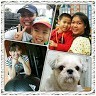 Julie LING