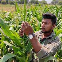 Nagendra Yadav Dugginaboyana