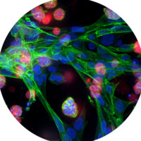 Molecular Devices Marketing