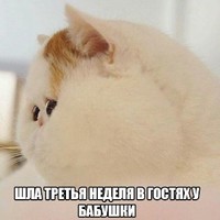 Sergey Polivin