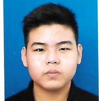 Lim Vi Xin