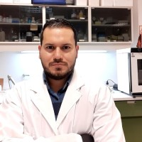 JUAN ROSALES