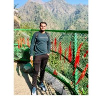 Krishan Malik