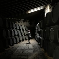 Alejandro Flores Castro