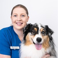 Dr Melissa Kozaruk BVSc (Hons)