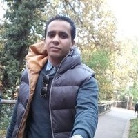 hassan elalim