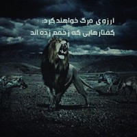 ali delaram