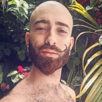Stephen P
