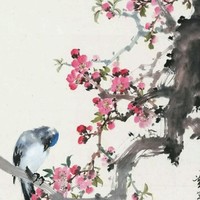 黄显坤