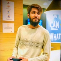 Muhammad Ans Ali sajjad