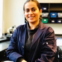 Bramleen Kaur Bedi, Nm