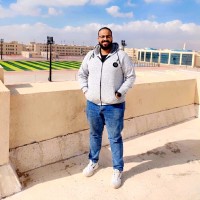 Omar Araby Abdel-Fadeel