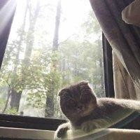 陈泽松