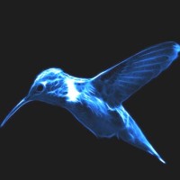 Hummingbird Environmental