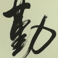 Qin Meng