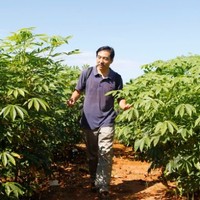 王文泉