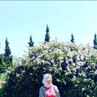 Apriatni Nk