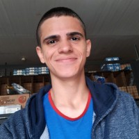 Vinicius Araújo Ribeiro