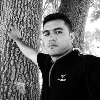 Hamze Yousefi