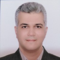 Majid Farzaneh