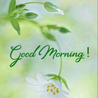Mohammed Irshad