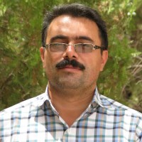 Hamid Hassanzadeh