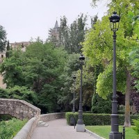 Nicolas Hurtado Del Saz