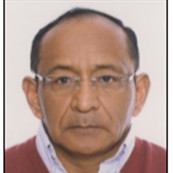 Ing. Luis Mario Mullo Cruz